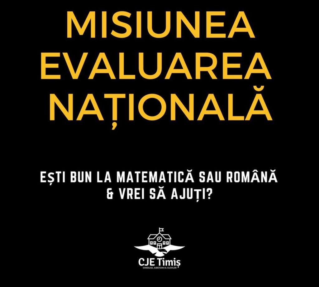Liceeni care meditează gratuit la Matematică și Română