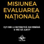 Liceeni care meditează gratuit la Matematică și Română