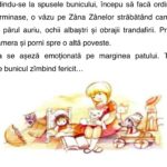 Subiecte clasa a II-a Română Citit