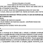 Evaluarea Națională 2020 Sesiunea specială