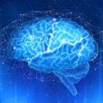Creier, minte, neuro