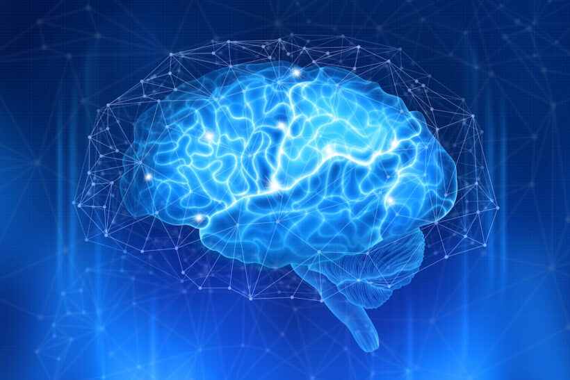 Creier, minte, neuro