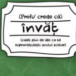 Coperta cartii Profu' crede ca invat / Foto: Editura Litera