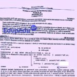 Subiecte Bacalaureat 2024 la Informatică