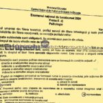 Subiecte Bacalaureat 2024 - Psihologie.